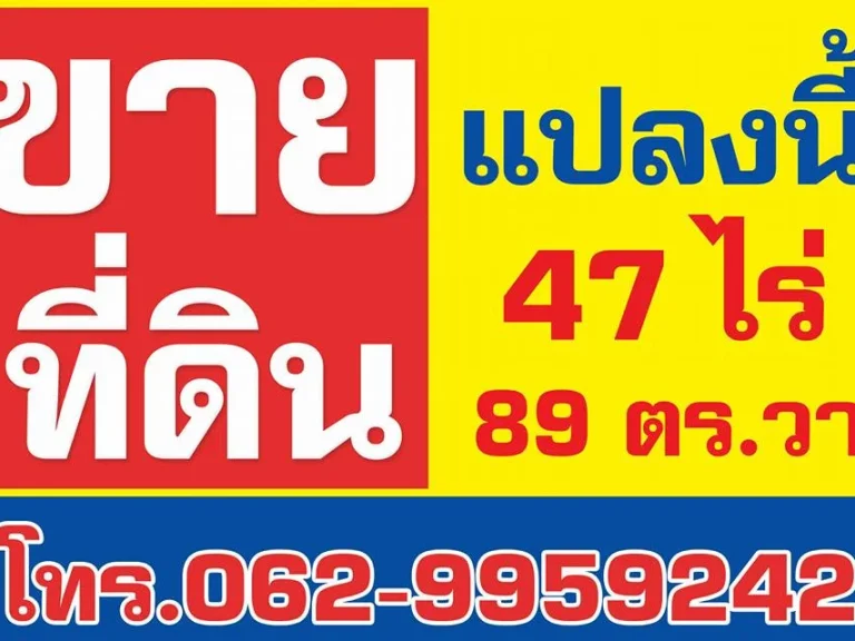 ขายที่ดิน ทำเลทอง ที่แปลงสวย ติดถนน 47 ไร่ 89 ตรวเหมาะสำหรับพัฒนาอสังหาทุกรูปแบบ ตหนองปลาหมอ อหนองแค จสระบุรี