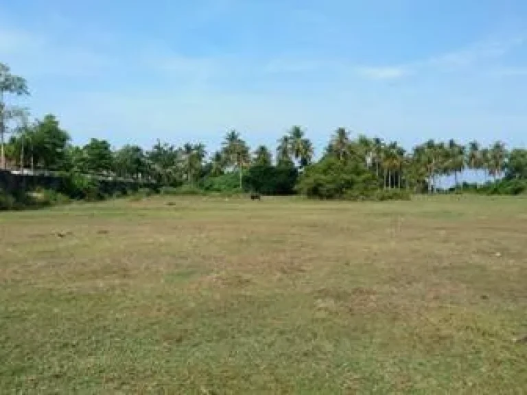 ขายที่ดินติดชายหาดสวยมาก จกระบี่ ampquot ติดทะเลอันดามันชายหาดส่วนตัว เนื้อที่ 14 ไร่ ราคาแค่ 75 ล้านไร่