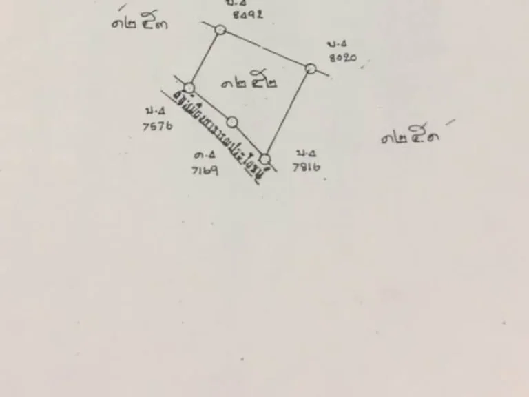 ขายสวนลำใยแม่ฮ้อยเงิน ดอยสะเก็ต ราคาถูก