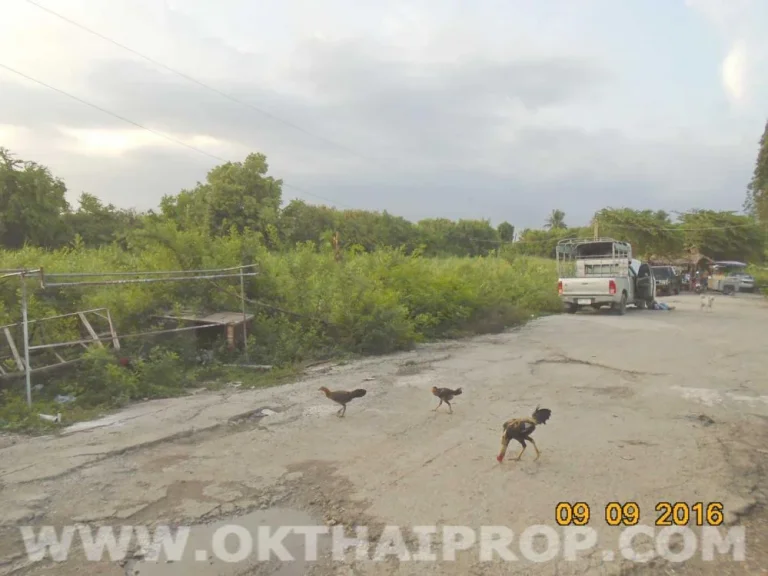 ที่ดิน 94 ตรว ถคลองถนน บางใหญ่ นนทบุรี