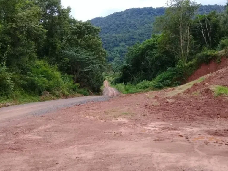 ขายที่ดิน 22 ไร่ บ้านดงลาน ถนนสาย 205 ตวะตะแบก อเทพสถิต จชัยภูมิ