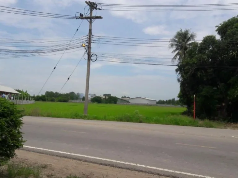 ไร่ ขายราคาถูก หน้าติดทางราดยาง 2 ด้าน ไฟฟ้า 3 เฟรสอยู้หน้าที่ดิน ที่ดินปัจจุบันทำสวนมะม่วง พื้นที่นี้สร้างโรงงานได้เลย ขอรับประกัน