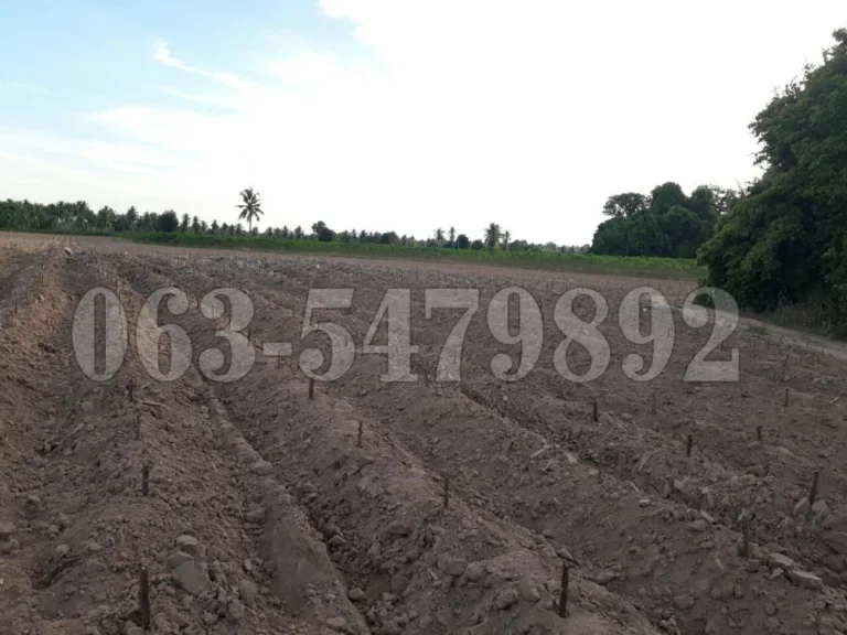 Land 165 Rai for sale in the Huay Yai area South of Pattaya City