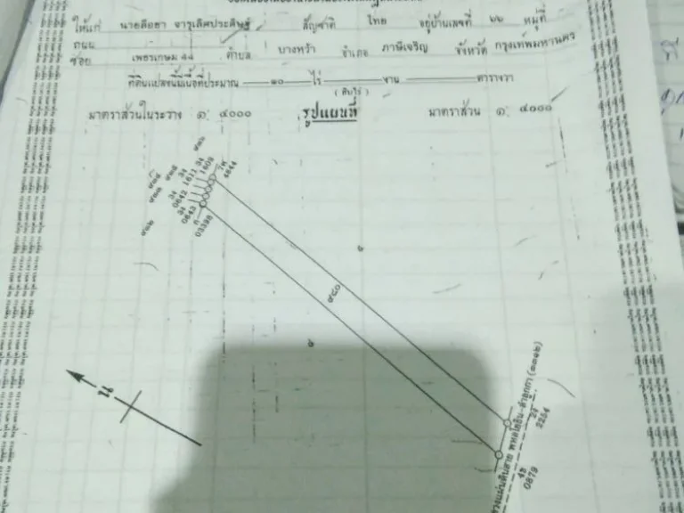 ขายที่ดิน ลำลูกกา คลอง 7