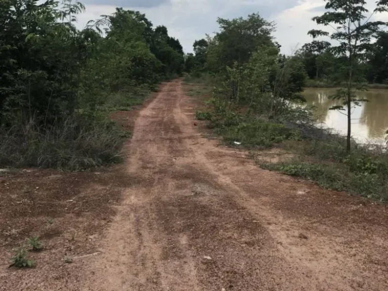 ขาย ที่ดินจังหวัดสระแก้ว ติดถนนสุวรรณศร 20 ไร่เศษ ใกล้ตลาดโรงเกลือ ประตูสู่ AEC ปอยเปต ทำเลดีมาก เหมาะแก่การลงทุน