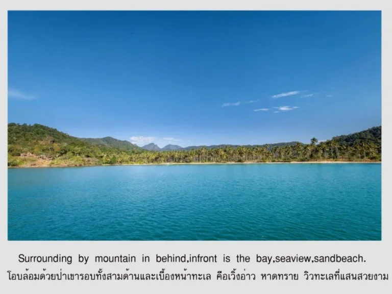 ขายที่ดิน เกาะช้าง 450 ล้าน