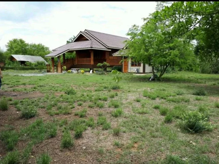 ขายที่ดินตำบลนางั่ว จังหวัดเพชรบูรณ์