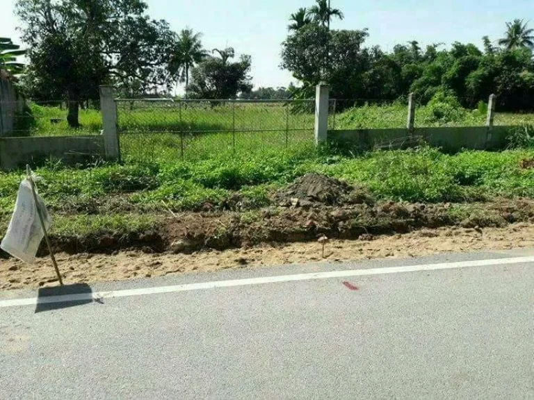 ขายที่ดินบ้านมอญ สันพระเนตร แปลงหัวมุม ค้าขายได้