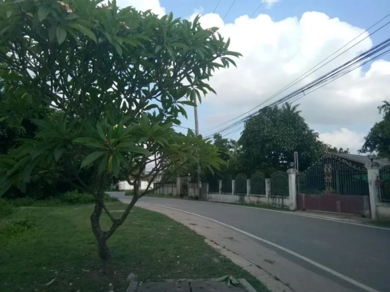 ขายที่ดินบ้านมอญ สันพระเนตร แปลงหัวมุม ค้าขายได้