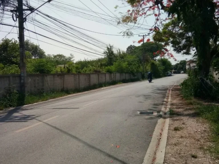 ขายที่ดินห่างมงฟอร์ต 15 km