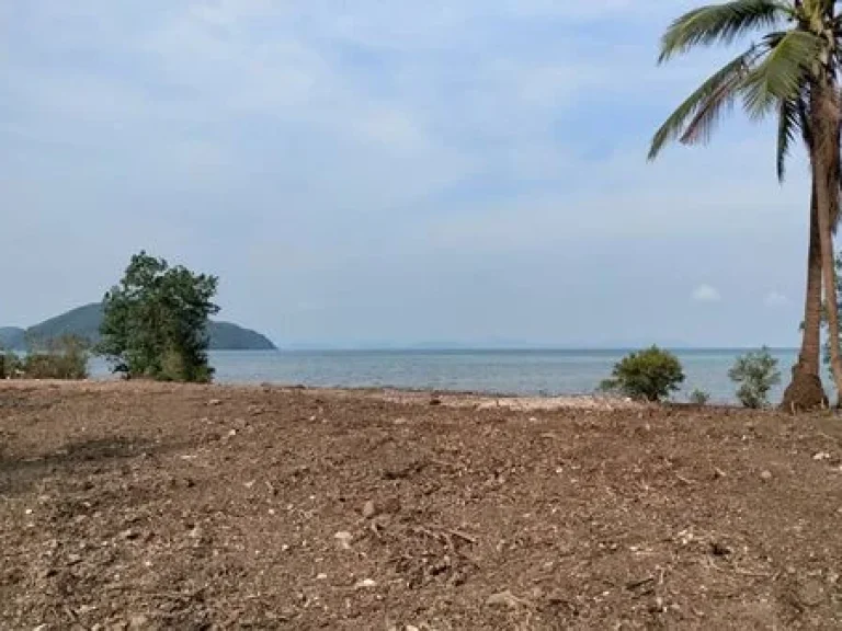 พร้อมจับจอง ที่ดินริมทะเล ติดหาดสมุย 6 ไร่ 3 งาน 87 ตรว นนวัดแหลมสอ ตตลิ่งงาม อเกาะสมุย จสุราษฎร์ธานี