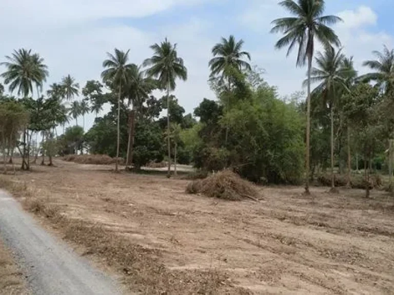 พร้อมจับจอง ที่ดินริมทะเล ติดหาดสมุย 6 ไร่ 3 งาน 87 ตรว นนวัดแหลมสอ ตตลิ่งงาม อเกาะสมุย จสุราษฎร์ธานี