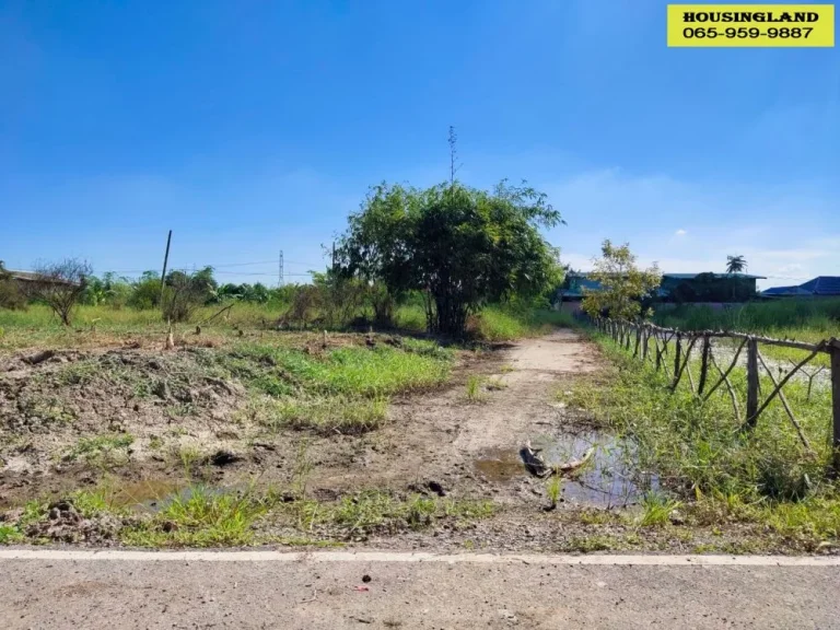 ขาย ที่ดิน ซอยบึงบอน 12 ธัญญทรัพย์ ตำบลบึงบอน อำเภอหนองเสือ จังหวัดปทุมธานี