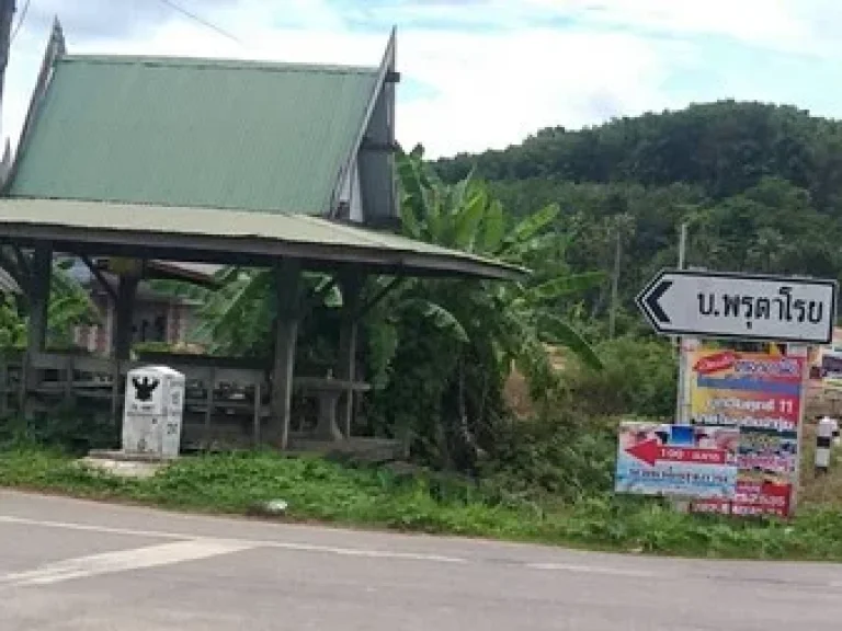 ขายสวนมังคุดสวย บ้านบางแก้ว พรุตาโรย ละอุ่น จังหวัดระนอง