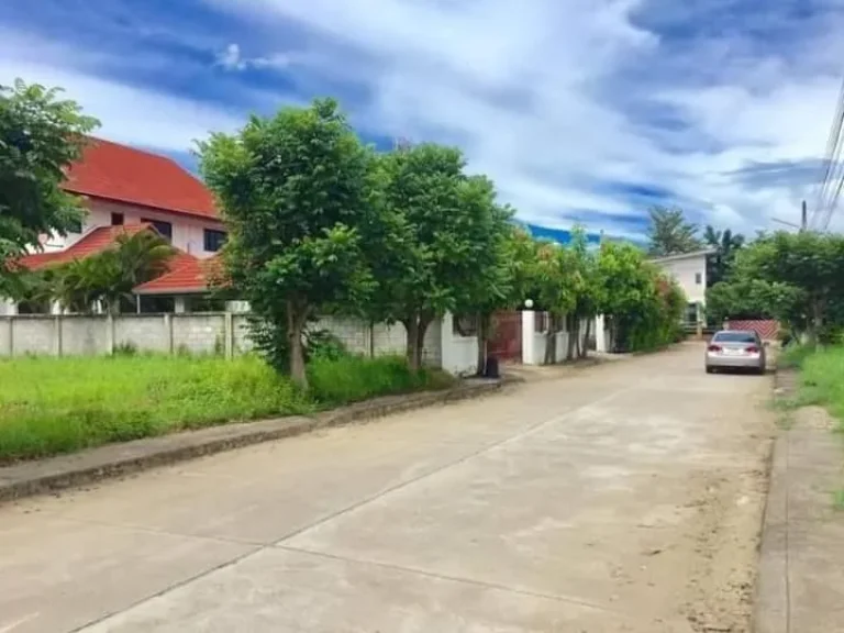 ขายที่ดินหนองควาย ในโครงการ วิวดอย ถนนคอนกรีต