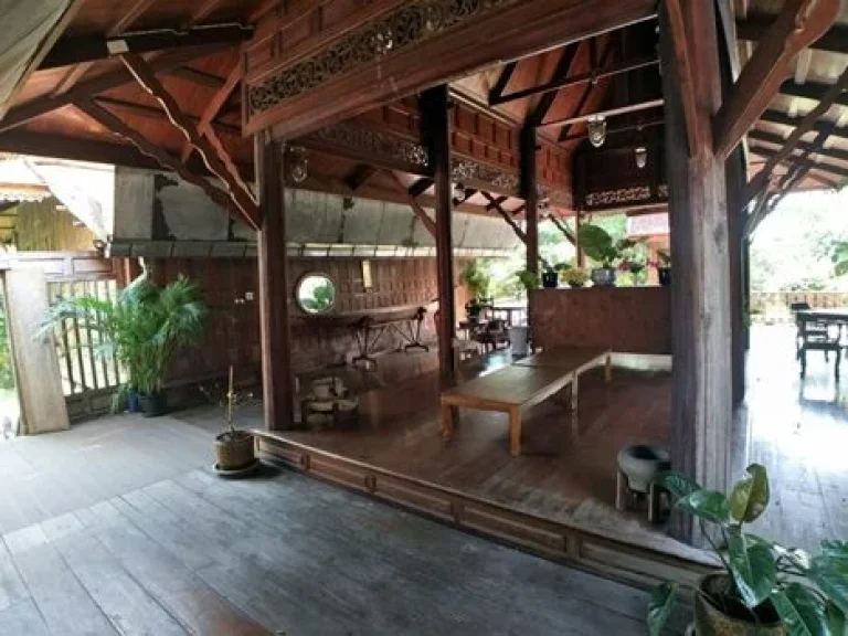 ให้เช่า บ้านเรือนไทย ในกรุงเทพ ซนวมินทร์ 145 Thai Wood House in Bangkok