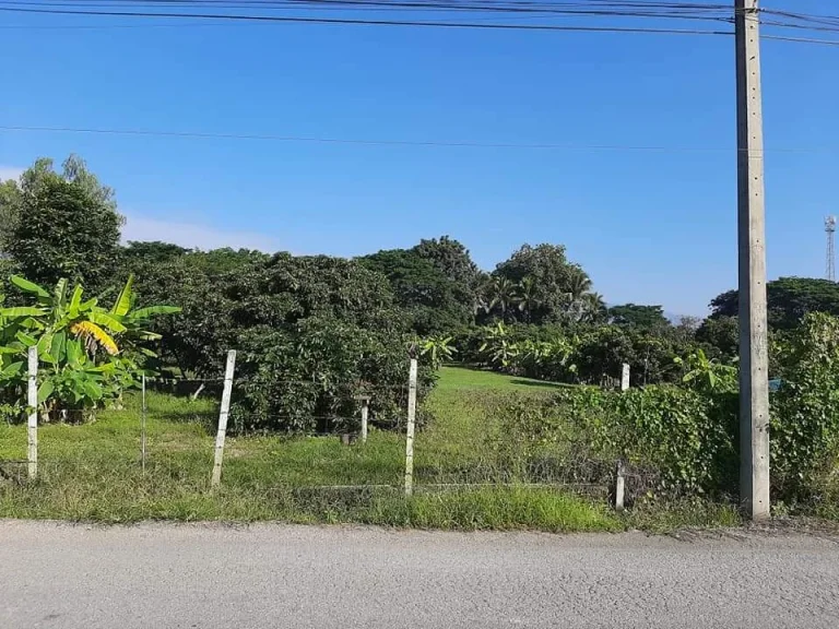 ขายที่ดินล้อมรั้ว ติดถนนลาดยาง สันป่าตองน้ำบ่อหลวง ราคาถูก