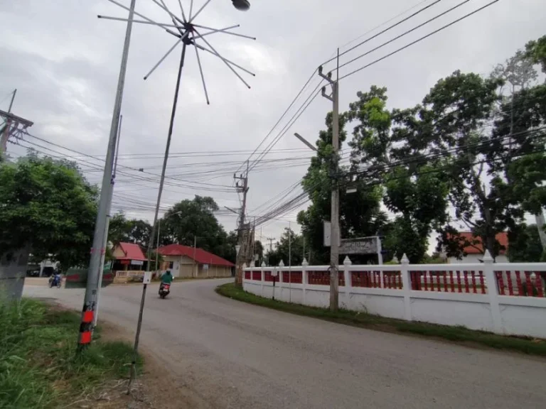 ขายที่ดินถมแล้ว 230 ตรว หน้าวัดครุฑธาราม ตำบลคลองสระบัว อำเภออยุธยา จพระนครศรีอยุธยา