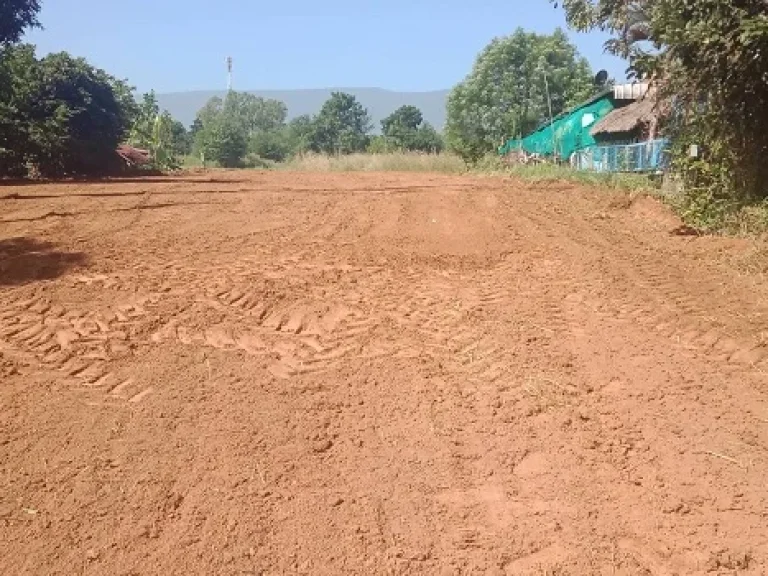 ขายที่ดิน ติดถนนสายเกษตรสมบูรณ์-หนองบัวแดง อเกษตรสมบูรณ์ จชัยภูมิ