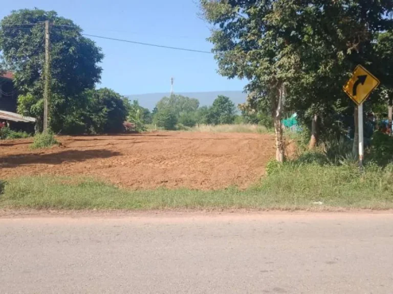 ขายที่ดิน ติดถนนสายเกษตรสมบูรณ์-หนองบัวแดง อเกษตรสมบูรณ์ จชัยภูมิ