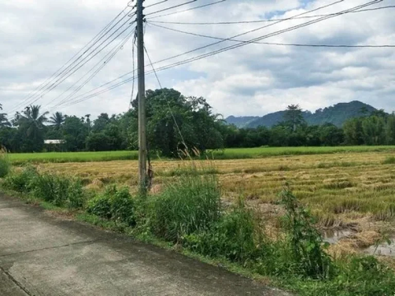 ขายที่ดินแปลงเล็ก โซนไข่แดงของจังหวัด ตั้งแต่ 130 ตรว ตสาริกา อเมือง วิวเขาสวยหลัง แมคโคร ตลาดเท่ง