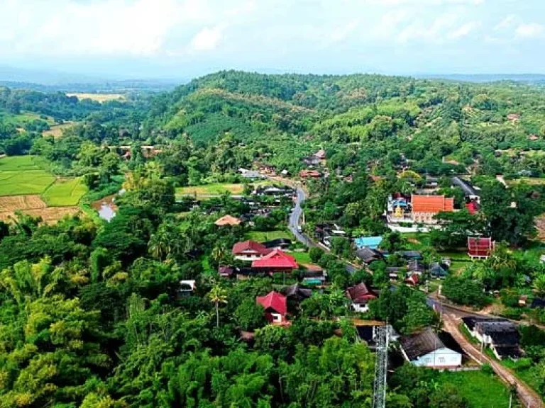 ขายที่ดิน วิวดอย ทิวทัศน์ทุ่งนา บรรยากาศดี ตำบลสะลวง อำเภอแม่ริม เชียงใหม่