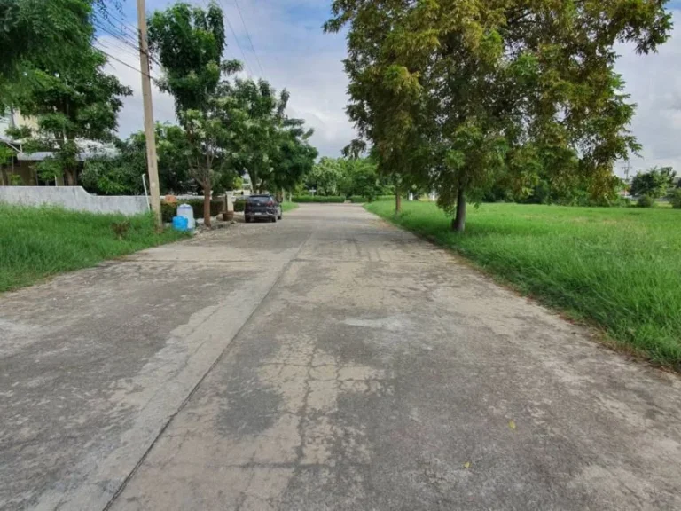 ขายที่ดินเปล่า ถมแล้ว มณชเลเพลส โคกขาม-สมุทรสาคร ตำบล โคกขาม อำเภอ เมือง สมุทรสาคร 148 ตรว