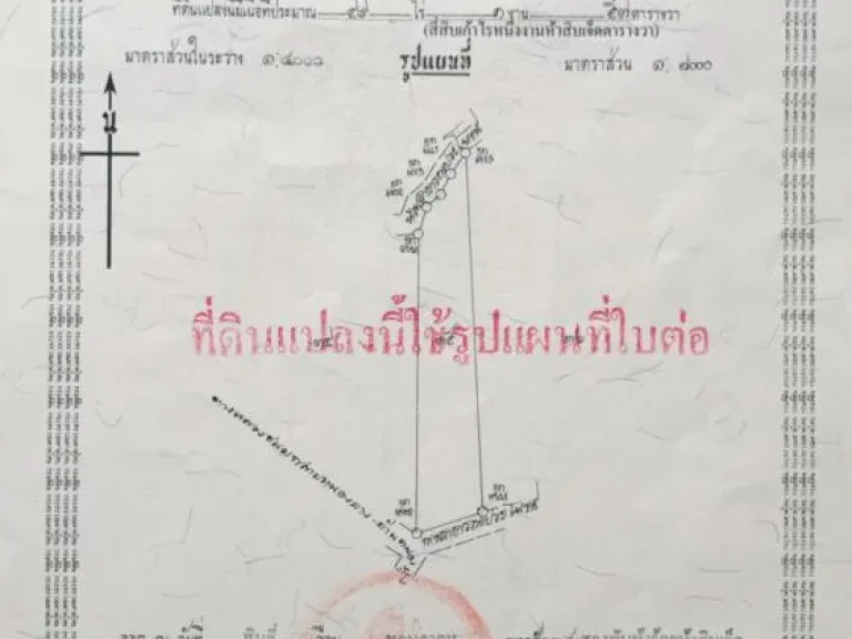 ขายที่ดินสุพรรณบุรี สวนปาล์มตัดผลผลิตได้แล้วและมีต้นสักทองอีก10ไร่