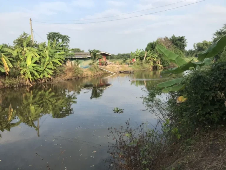 ขายที่ดินสวย สภาพแวดล้อมดี ทำเลดี บรรยากาศร่มรื่น เดินทางสะดวก เข้าออกได้หลายทาง ราคาต่อรองได้