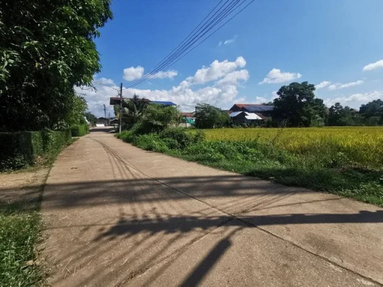 ขายที่ดิน 6 ไร่ ใกล้ถนนสายหลัก 101 น่าน-แพร่ ตกลางเวียง อเวียงสา จน่าน