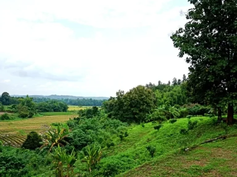 ขายที่ดิน ตำบลสะลวง อำเภอแม่ริม จังหวัดเชียงใหม่ ที่ดินวิวสวย