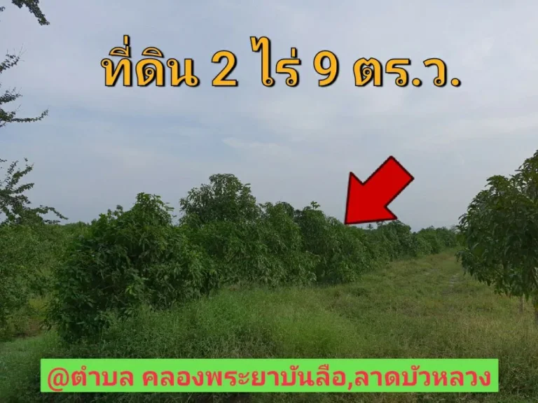 ขายที่ดินราคาถูก 2 ไร่เศษ ตำบล คลองพระยาบันลือ อำเภอ ลาดบัวหลวง จังหวัด พระนครศรีอยุธยา