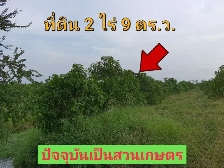 ขายที่ดินราคาถูก 2 ไร่เศษ ตำบล คลองพระยาบันลือ อำเภอ ลาดบัวหลวง จังหวัด พระนครศรีอยุธยา