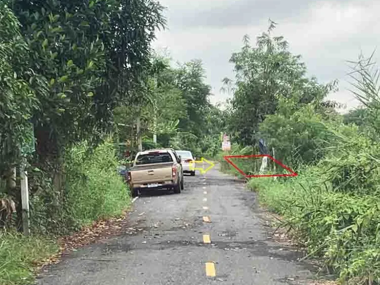 ขายถูก ที่ดินใกล้คลองบางใหญ่ 100ตรว ซวัดพระนอน เหมาะปลูกบ้าน