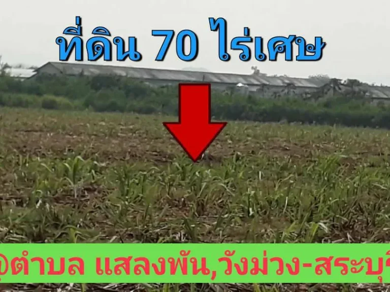 ที่ดินเกษตร 70 ไร่เศษ วิวภูเขา ราคาถูก ตำบล แสลงพัน วังม่วง สระบุรี