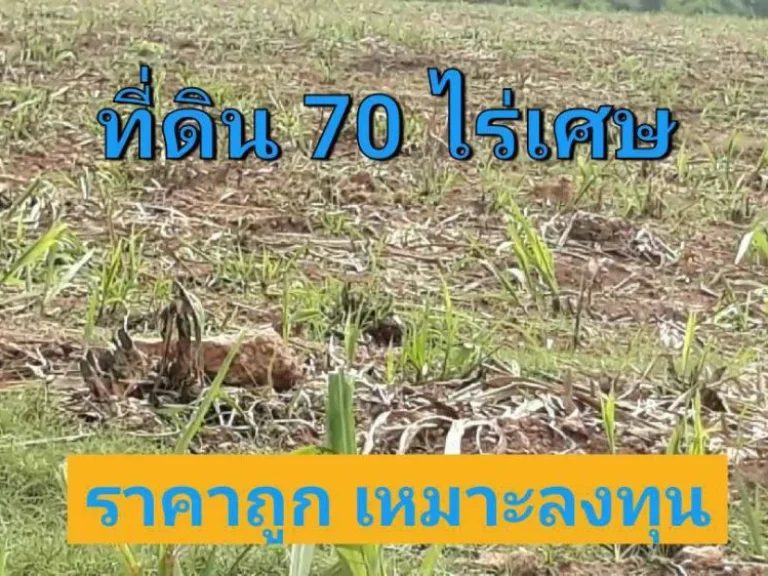 ที่ดินเกษตร 70 ไร่เศษ วิวภูเขา ราคาถูก ตำบล แสลงพัน วังม่วง สระบุรี