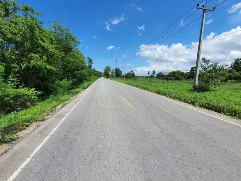 ขายที่ดินเปล่า ถมแล้ว ชะอำ-เพชรบุรี บรรยากาศดี เหมาะสำหรับทำบ้านพักตากอากาศ