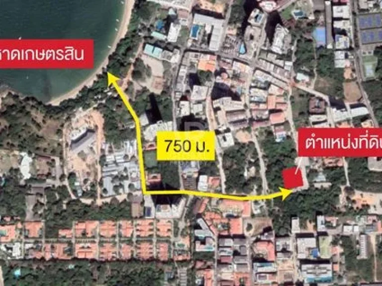 ที่ดินเมืองพัทยาให้เช่า ที่ดินขนาด 309 ตรวเหมาะกับกิจการร้านอาหาร หรือคาเฟ่ขนาดใหญ่