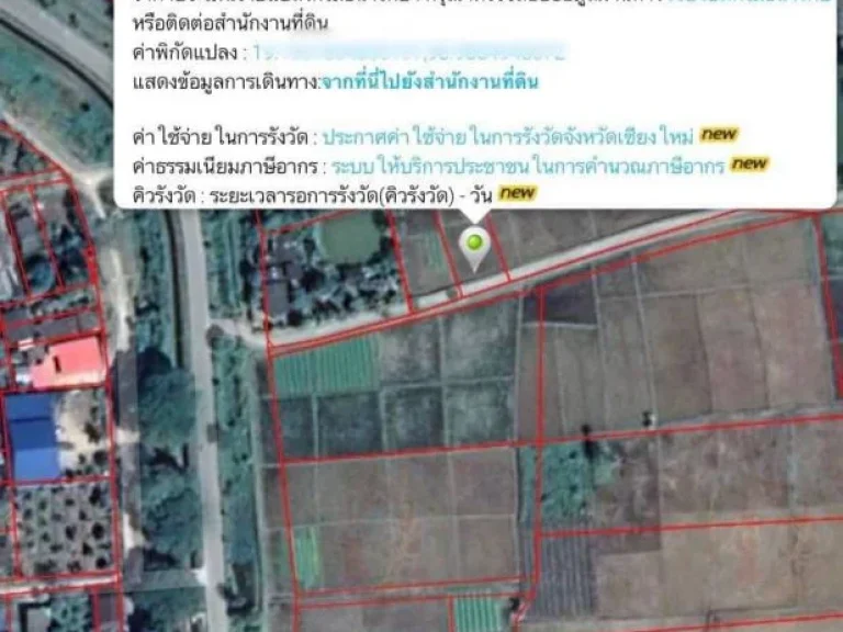 ขายที่ดินวิวทุ่งนาและวิวเขาสวย แม่แตง เชียงใหม่