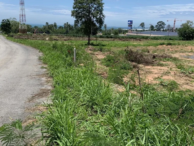 ขายที่ดิน วิวทะเล สุขุมวิท-ทางขึ้นวัดเขาบำเพ็ญบุญ นาจอมเทียน สัตหีบ ชลบุรี