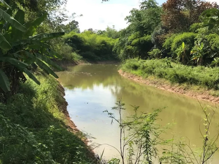 ที่ดินติดน้ำหน้าติดถนนดำ