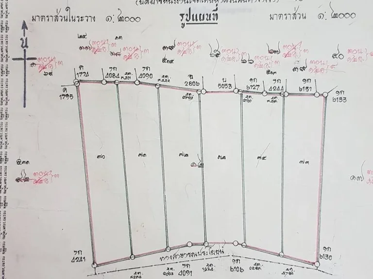 ที่ดินสวย 3 ไร่ อเมืองชุมพร ใกล้ศูนย์ราชการ