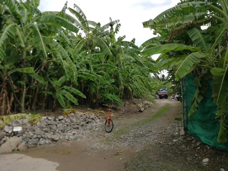 ขายที่ดิน480ตรว ฟรีบ้าน2หลัง ถนนพุทธมนทนสาย3 กทม