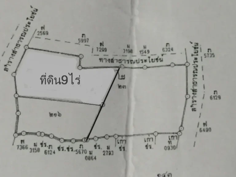 ที่ดิน15ไร่ หน้ากว้าง154มแบ่งขาย9ไร่ เจ้าของขายเอง ติดทางสาธารณะสามด้าน ติดคลองหนองน้ำส้ม ตระโสม อภาชี จอยุธยา