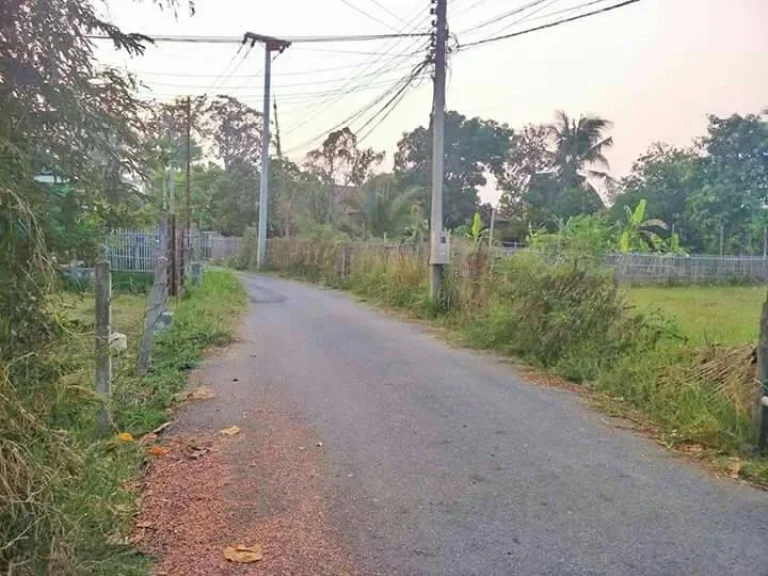 ขายที่ดินสันพระเนตร บ้านมอญ เหลือแปลงสุดท้าย