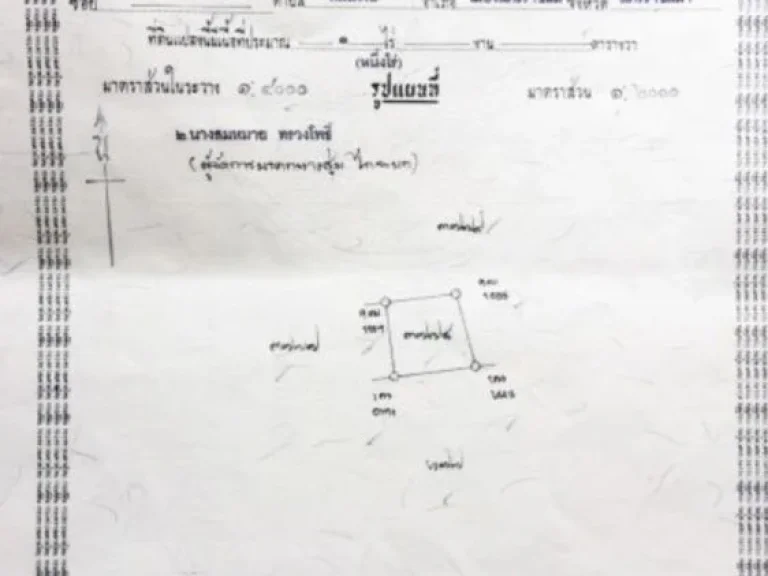 ขายที่ดิน 3 ไร่ แถวประโดก