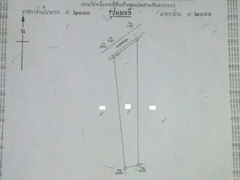 ขายด่วน ที่สวนยางพาราปาล์มบ้าน อบ้านนาเดิม จสุราษฎร์ธานี