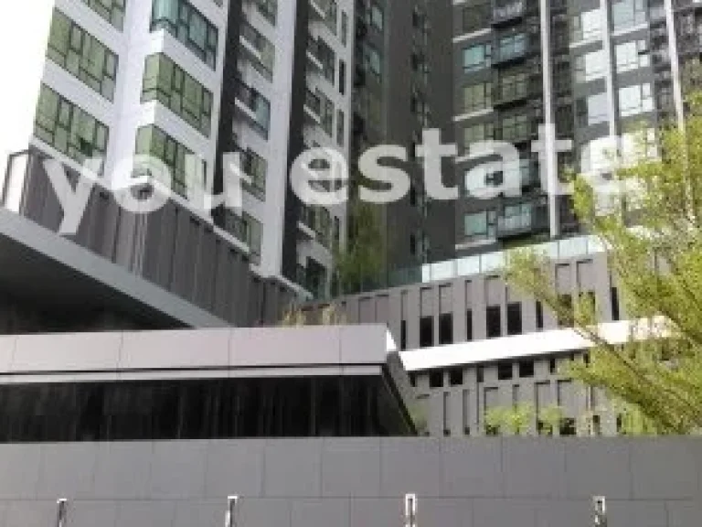 sale and rent 55 sqm 2 bed Rhythm Sukhumvit 36-38 ริทึ่ม สุขุมวิท