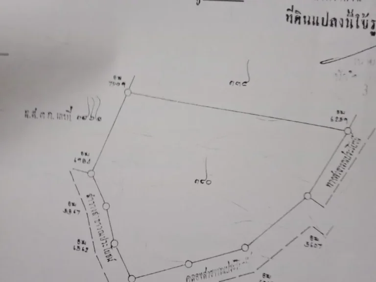 ขายที่ดินด่วน 35 ไร่2งาน 6ตรว