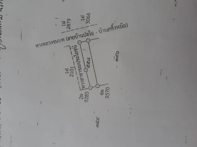 ขายที่ดินติดถนนลาดยาง ตำบลรำแดง อำเภอสิงหนคร 1ไร่ 74 ตารางวา